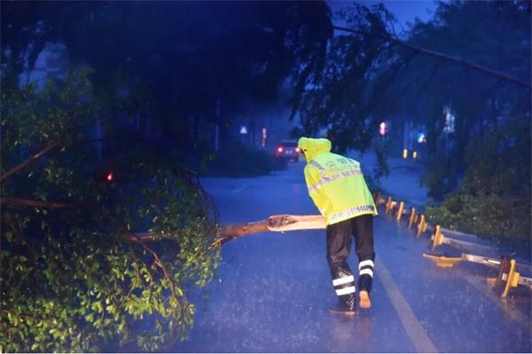 交警在清理臺風吹落的樹木